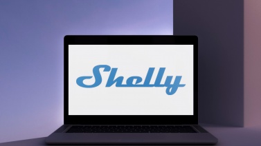 Shelly Group - On the top of the mountain - 3m 2024