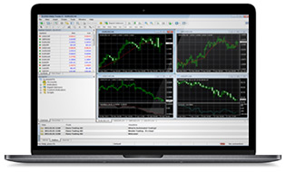 FOREX359